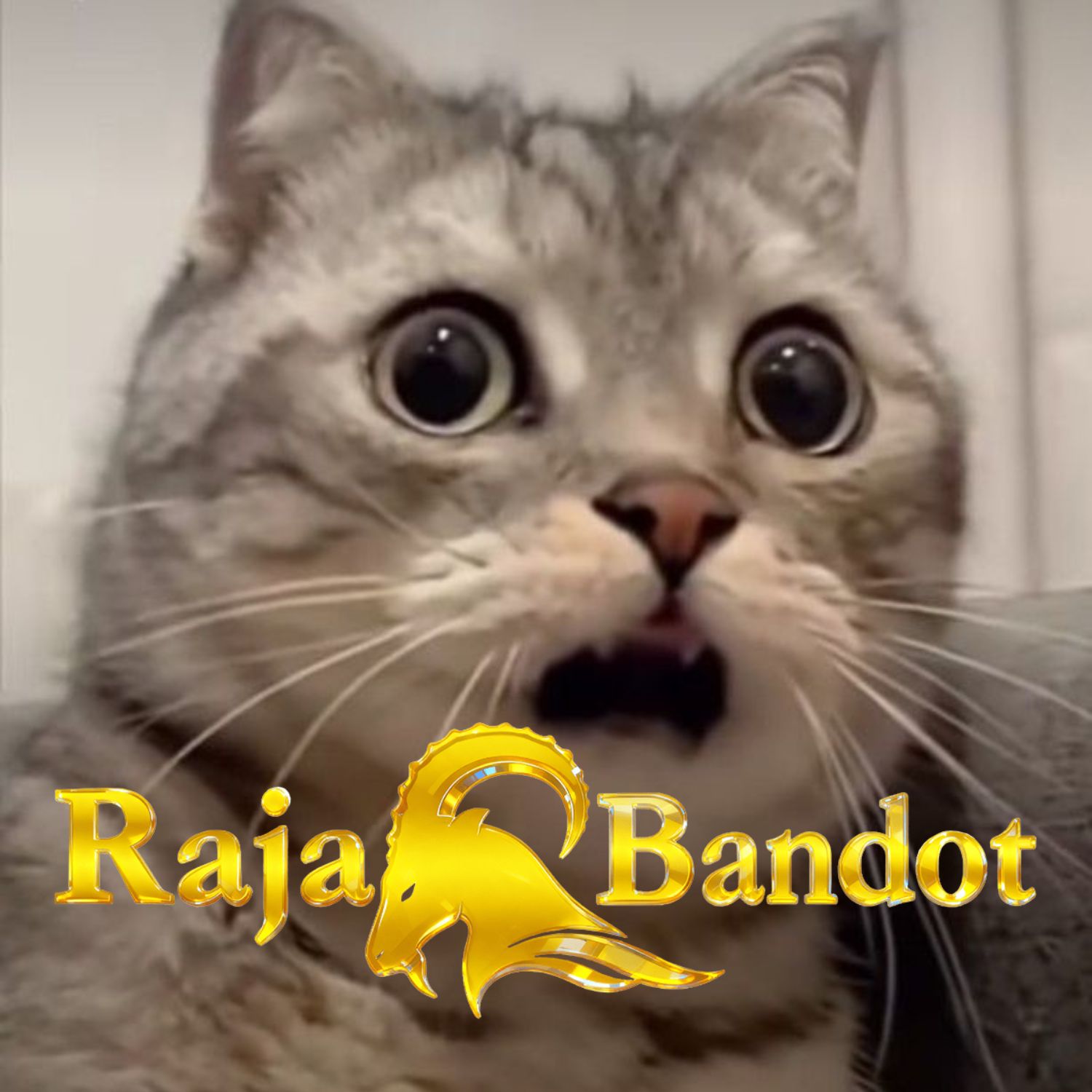 SLOT88 ® Pusat Slot Gacor Terbesar & Situs Slot Online Lisensi Resmi