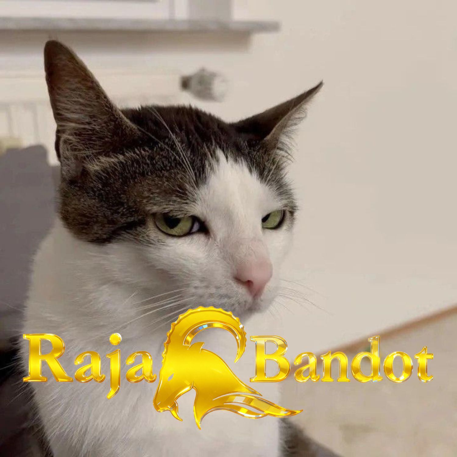 SITUS TOTO ONLINE DAN BANDAR TOGEL TERPERCAYA